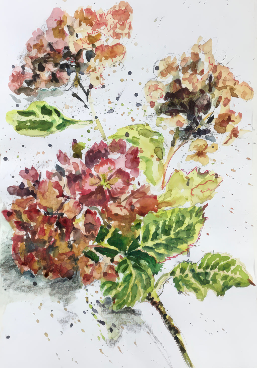 Red Hydrangea Cushion - 16"x16"